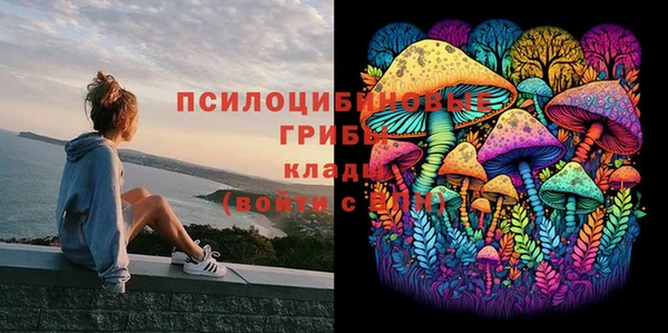 mdma Костерёво