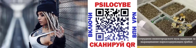 Купить  Жигулёвск  Псилоцибиновые грибы GOLDEN TEACHER 